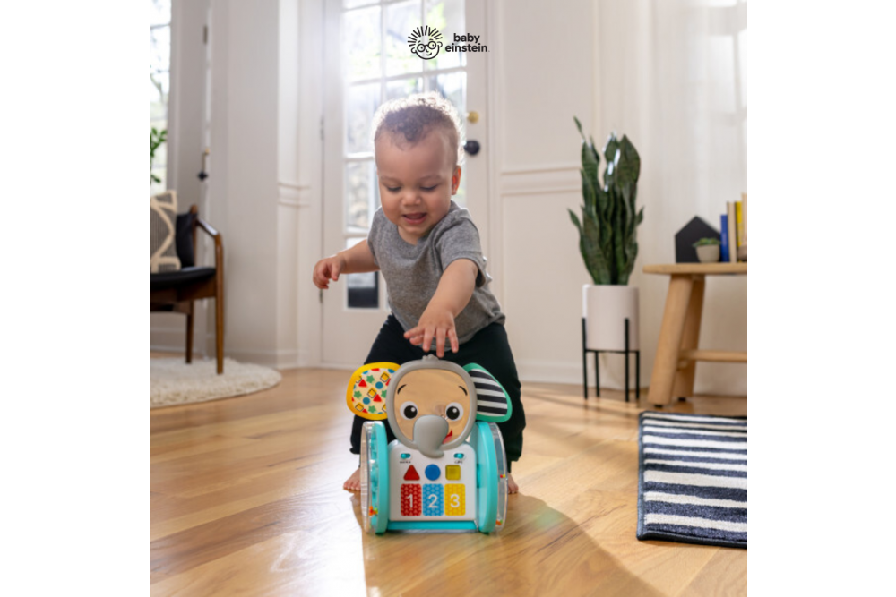 Jucariile Baby Einstein care fac din prima aniversare o aventura educativa